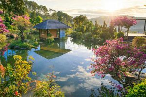Làm gì nếu có 3 ngày du lịch Paris?